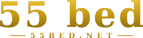 55 bed logo